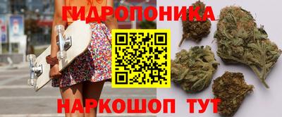 a pvp Пугачёв