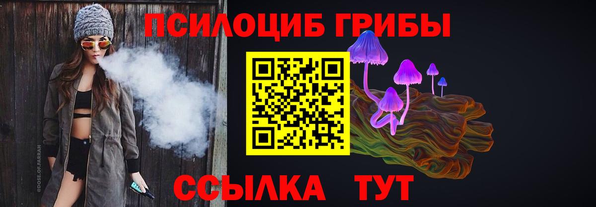 Новосибирск  купить наркотики сайты  Вход с VPN  Галлюциногенные грибы Magic Shrooms  Псилоцибиновые грибы прущие грибы 